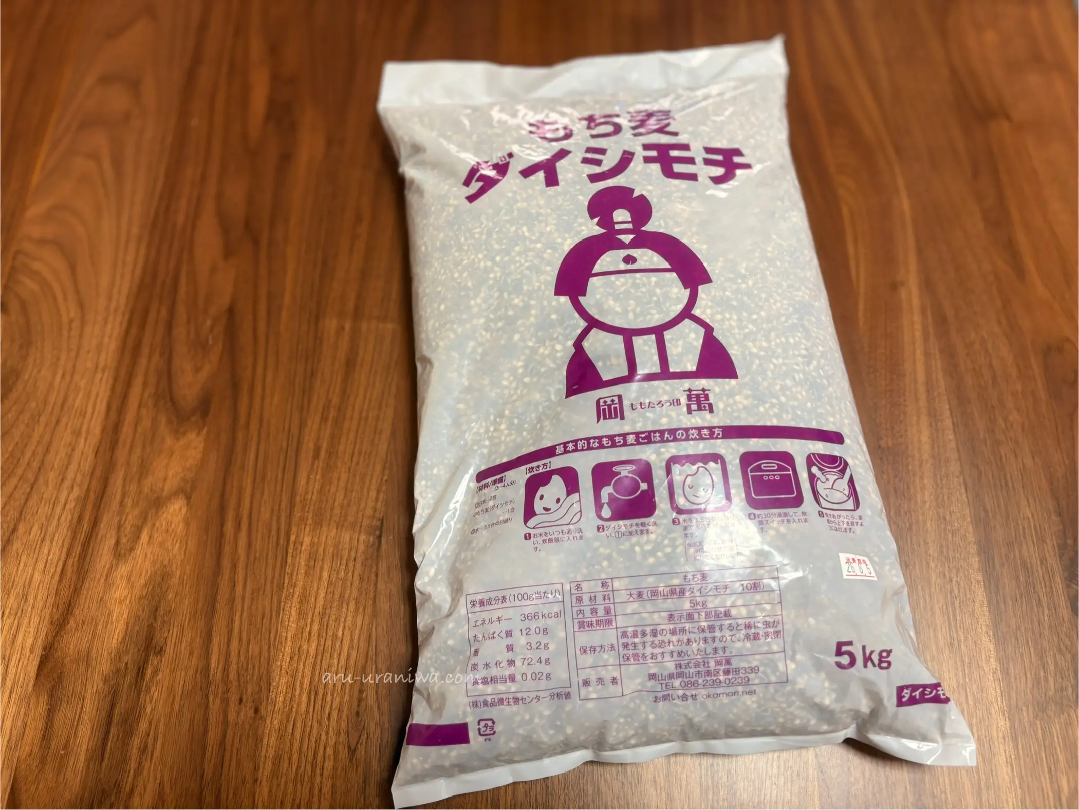 岡山ダイシモチ